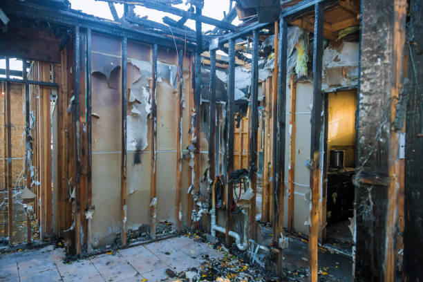 Professional Fire Damage Removal technician working in Rainier, WA